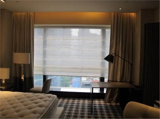 智能電動(dòng)窗簾 智能電動(dòng)窗簾